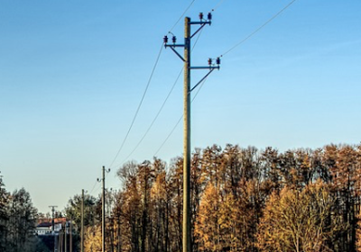 postes de luz de pino y eucalipto impregnado