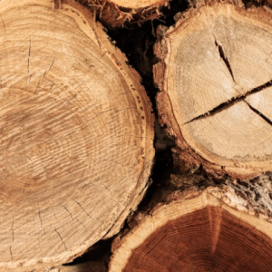 Maderas tratadas imprengado de madera todas las especies